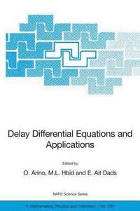 bokomslag Delay Differential Equations and Applications