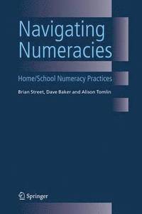 bokomslag Navigating Numeracies