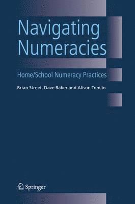 bokomslag Navigating Numeracies