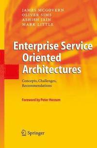 bokomslag Enterprise Service Oriented Architectures