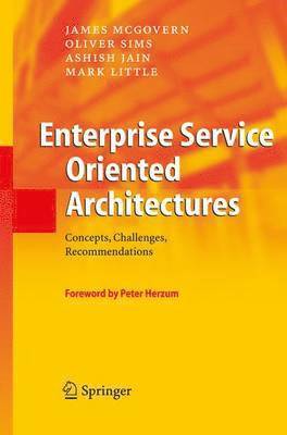 Enterprise Service Oriented Architectures 1