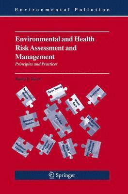 bokomslag Environmental and Health Risk Assessment and Management