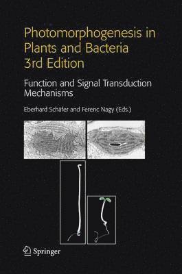 Photomorphogenesis in Plants and Bacteria 1