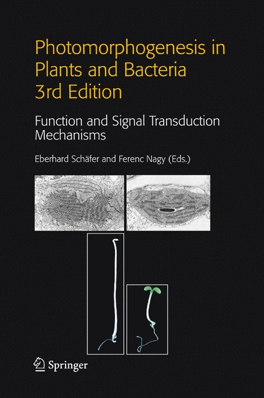 bokomslag Photomorphogenesis in Plants and Bacteria