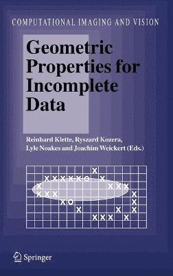 bokomslag Geometric Properties for Incomplete Data