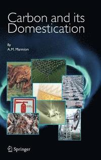 bokomslag Carbon and Its Domestication