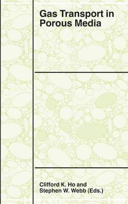 Gas Transport in Porous Media 1