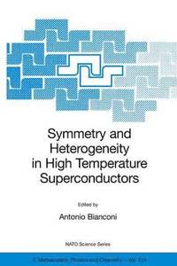 bokomslag Symmetry and Heterogeneity in High Temperature Superconductors
