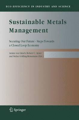 bokomslag Sustainable Metals Management