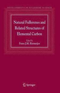 bokomslag Natural Fullerenes and Related Structures of Elemental Carbon