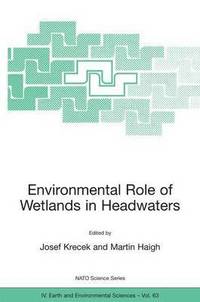 bokomslag Environmental Role of Wetlands in Headwaters