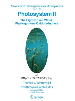 T. Wydrzynski, Kimiyuki Satoh - Photosystem II, Inbunden