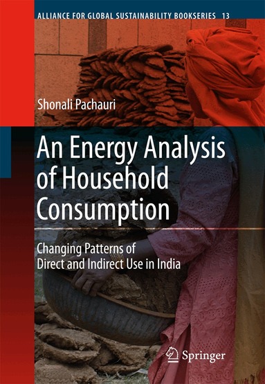 Shonali Pachauri - Energy Analysis of Household Consumption, Inbunden
