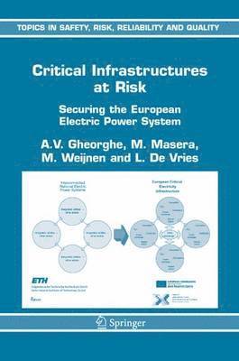 Critical Infrastructures at Risk 1