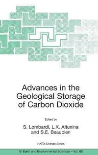 bokomslag Advances in the Geological Storage of Carbon Dioxide