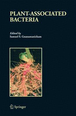 Plant-Associated Bacteria 1