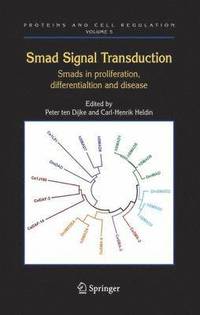 bokomslag Smad Signal Transduction