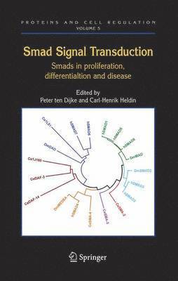 Smad Signal Transduction 1