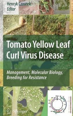 bokomslag Tomato Yellow Leaf Curl Virus Disease