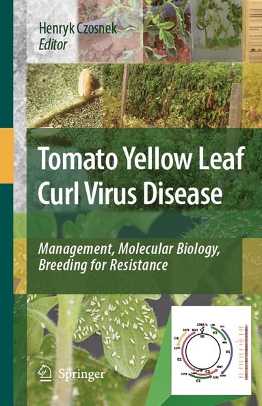 bokomslag Tomato Yellow Leaf Curl Virus Disease