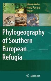 bokomslag Phylogeography of Southern European Refugia