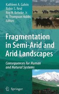 bokomslag Fragmentation in Semi-Arid and Arid Landscapes