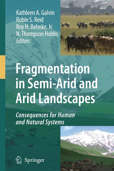 bokomslag Fragmentation in Semi-Arid and Arid Landscapes