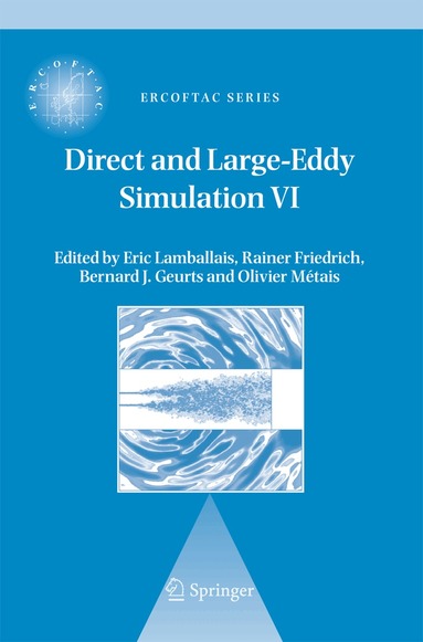 E. Lamballais, Rainer Friedrich, Bernard J. Geurts, Olivier Métais - Direct and Large-Eddy Simulation VI, Inbunden