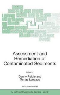 bokomslag Assessment and Remediation of Contaminated Sediments