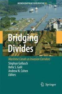 bokomslag Bridging Divides
