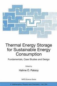 bokomslag Thermal Energy Storage for Sustainable Energy Consumption