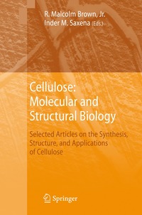 bokomslag Cellulose: Molecular and Structural Biology