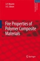 bokomslag Fire Properties of Polymer Composite Materials