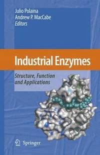 bokomslag Industrial Enzymes