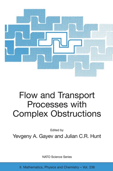 Yevgeny A. Gayev, Julian C.R. Hunt - Flow and Transport Processes with Complex Obstructions, Häftad