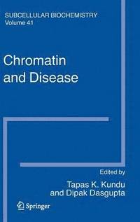 bokomslag Chromatin and Disease