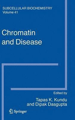 Tapas K. Kundu, Dipak Dasgupta - Chromatin and Disease, Inbunden