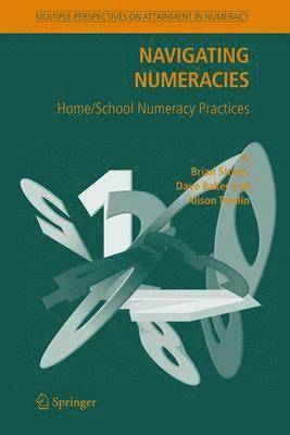 bokomslag Navigating Numeracies