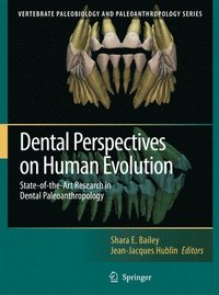 bokomslag Dental Perspectives on Human Evolution