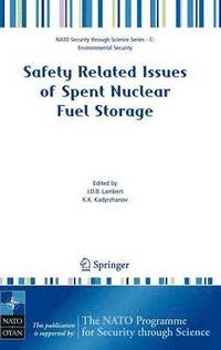 bokomslag Safety Related Issues of Spent Nuclear Fuel Storage