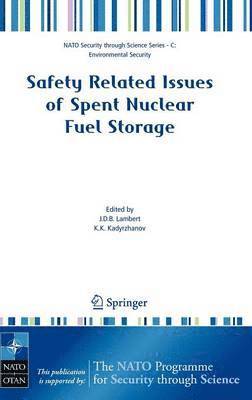 bokomslag Safety Related Issues of Spent Nuclear Fuel Storage