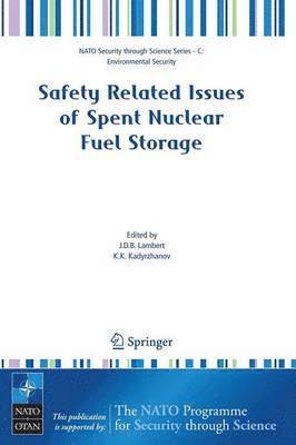 bokomslag Safety Related Issues of Spent Nuclear Fuel Storage