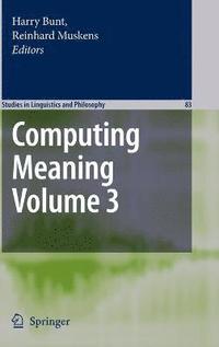 bokomslag Computing Meaning