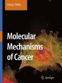 bokomslag Molecular Mechanisms of Cancer