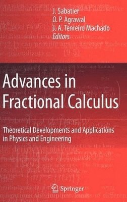 Advances in Fractional Calculus 1