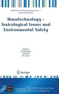 bokomslag Nanotechnology - Toxicological Issues and Environmental Safety