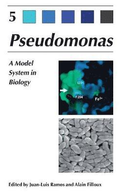 Pseudomonas 1