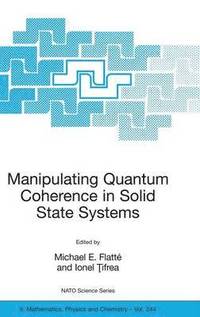 bokomslag Manipulating Quantum Coherence in Solid State Systems