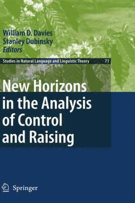 New Horizons in the Analysis of Control and Raising 1