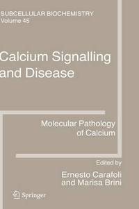 bokomslag Calcium Signalling and Disease